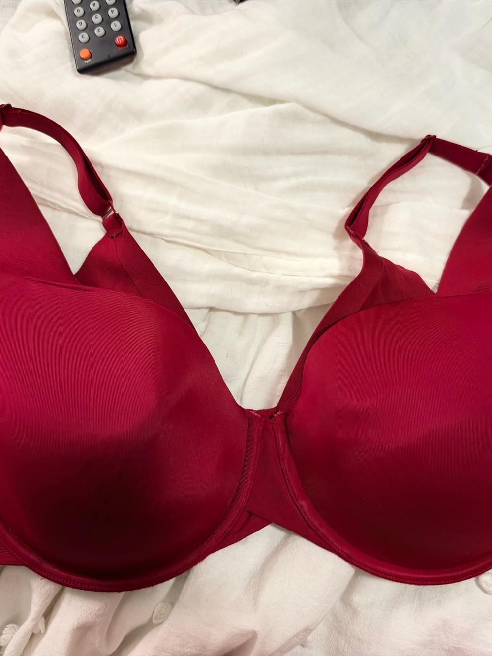 Cacique Seamless Molded Bra in Berry Red